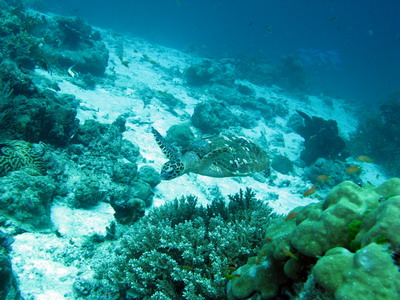 a0002177_2152562.jpg