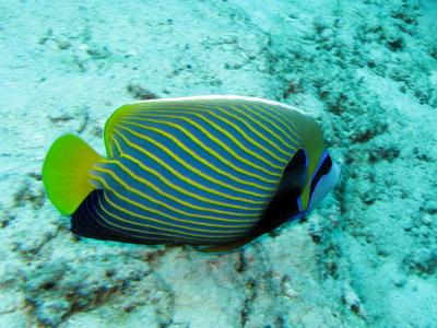 a0002177_215339.jpg