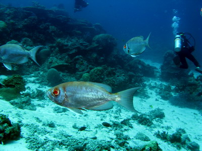 a0002177_2173242.jpg