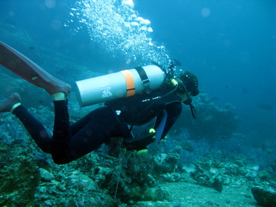 a0002177_22342994.jpg