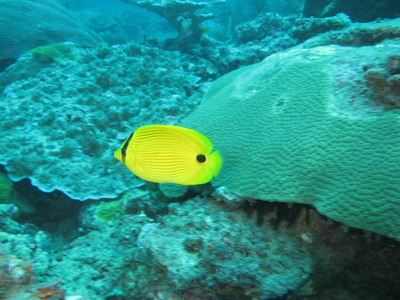 a0002177_22373184.jpg