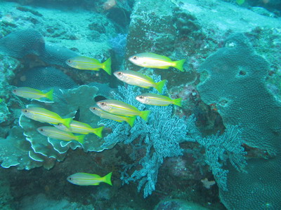 a0002177_2238620.jpg