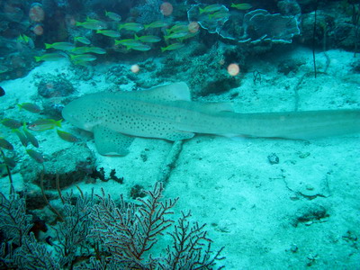 a0002177_2239279.jpg