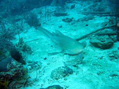 a0002177_22415463.jpg