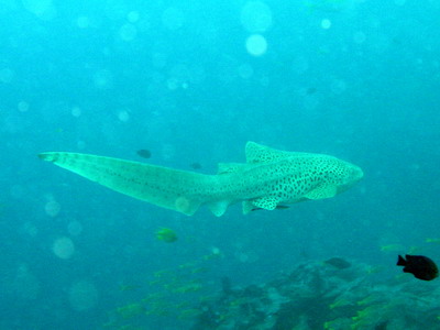 a0002177_22441725.jpg