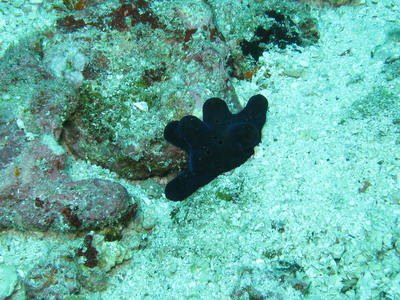 a0002177_2282115.jpg