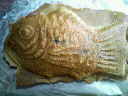 b0129280_13361835.jpg