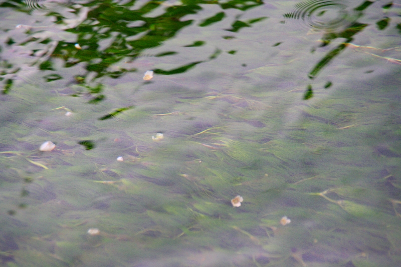 e0024081_9461994.jpg