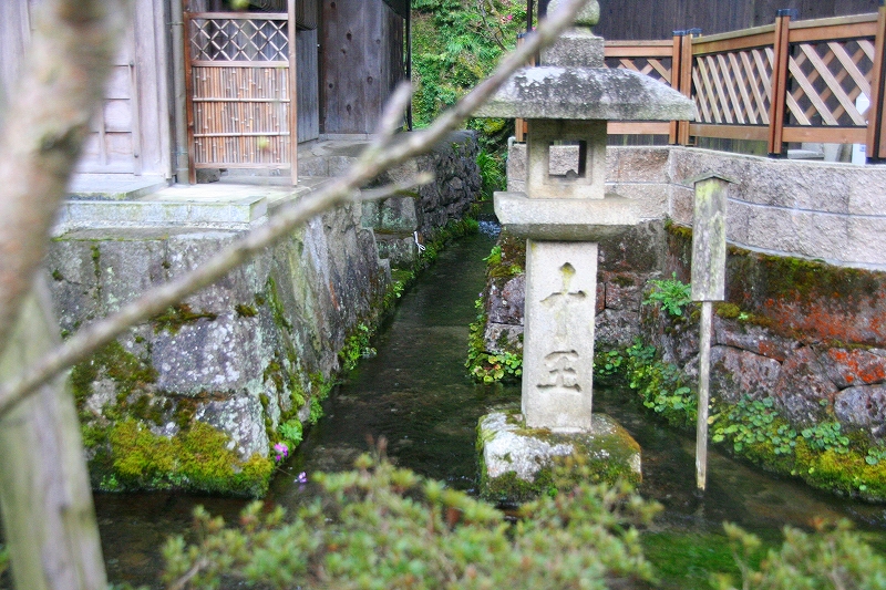 e0024081_946743.jpg