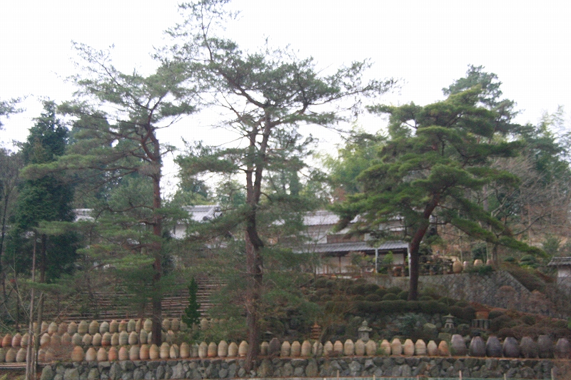 e0024081_9474135.jpg