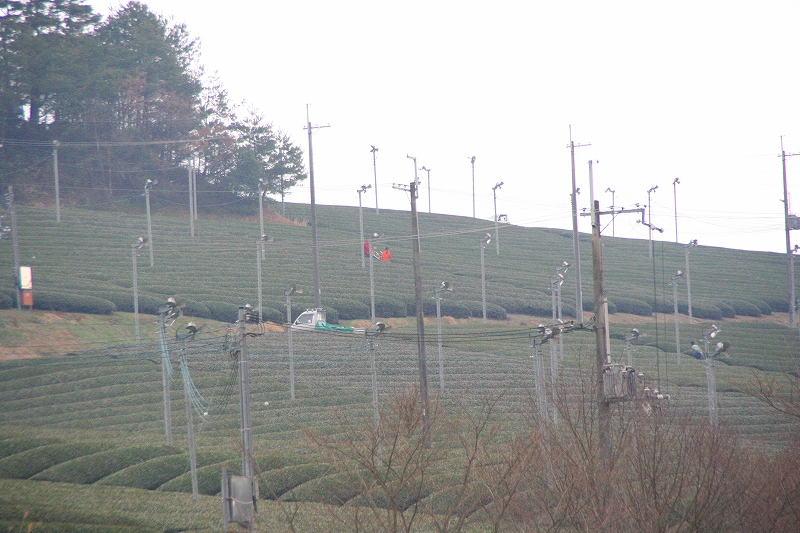 e0024081_9482840.jpg