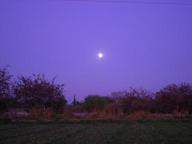 d0147483_46571.jpg