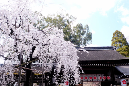 a0079292_1512197.jpg