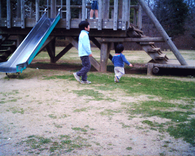 d0100192_211666.gif