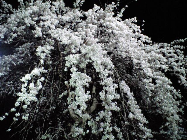 f0042295_2256508.jpg