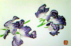 f0008597_13302647.jpg