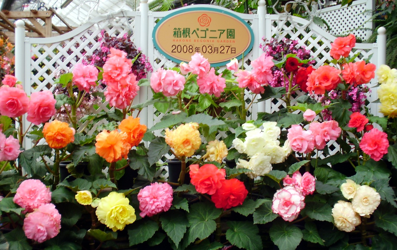 a0074202_2341387.jpg