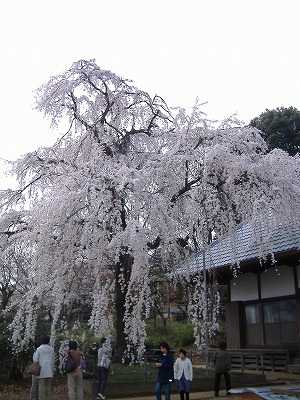 f0147602_172206.jpg