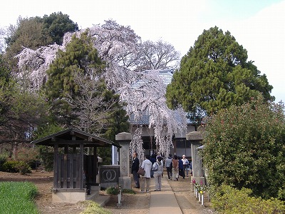 f0147602_172925.jpg