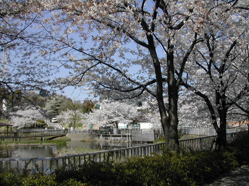 c0132608_151871.jpg
