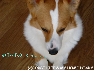 c0153410_12263584.jpg