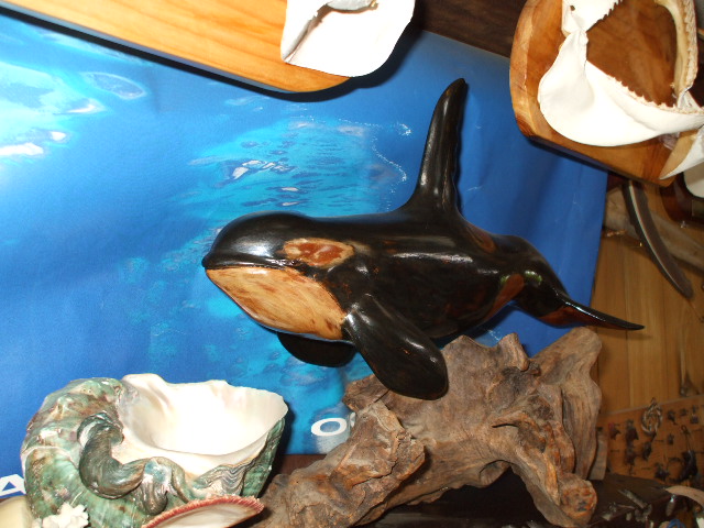 e0041316_2091939.jpg