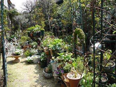 f0059818_13312468.jpg