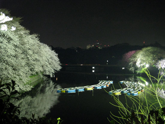 b0050920_2349372.jpg