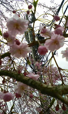 e0002020_18354812.jpg