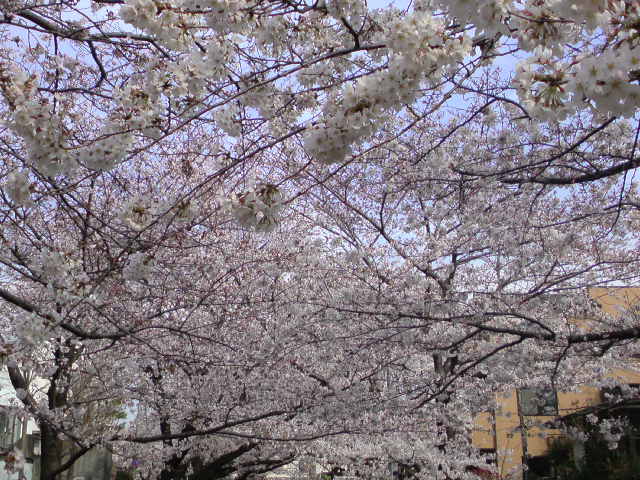 e0016828_011510.jpg