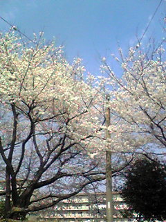e0121228_18215230.jpg