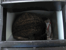 c0136736_15332866.gif