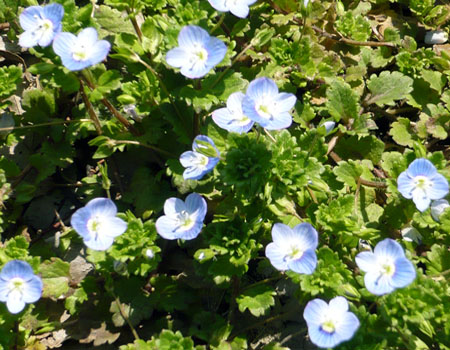 c0131544_9291123.jpg