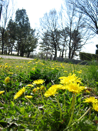 c0141048_20412599.jpg