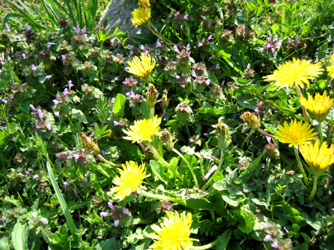 c0141048_20425495.jpg