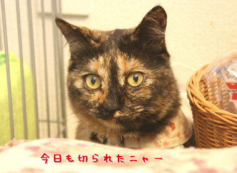 d0013149_22768.jpg