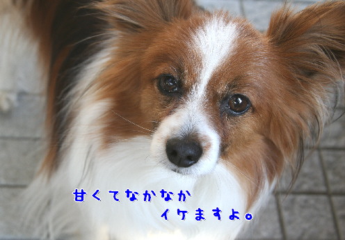 d0013149_241681.jpg