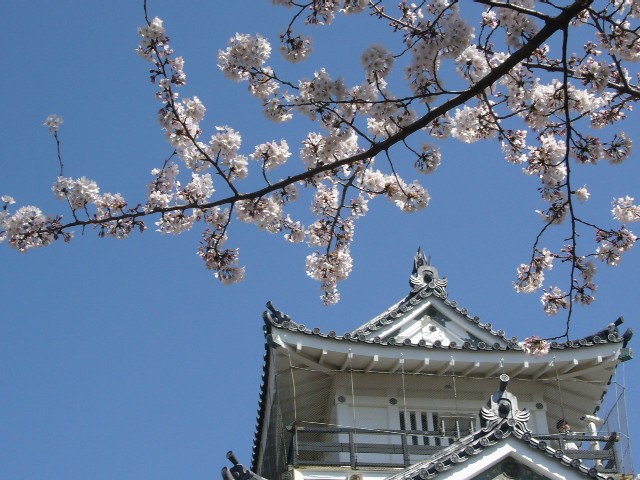 f0091250_19304931.jpg
