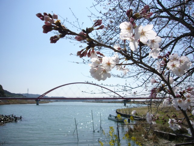 f0091250_19313237.jpg