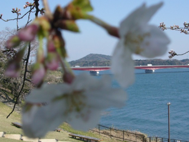 f0091250_19315965.jpg