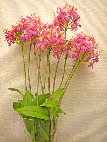 a0001354_22342229.jpg