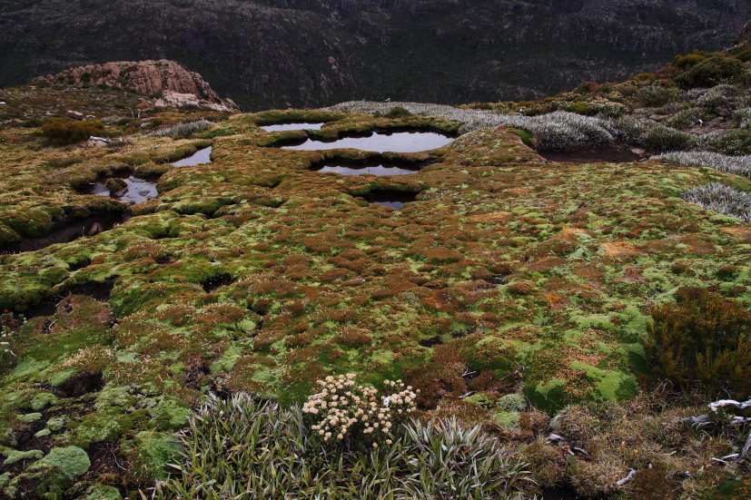 f0137354_20554667.jpg