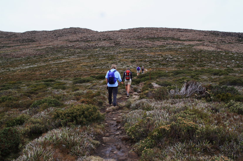 f0137354_20572969.jpg