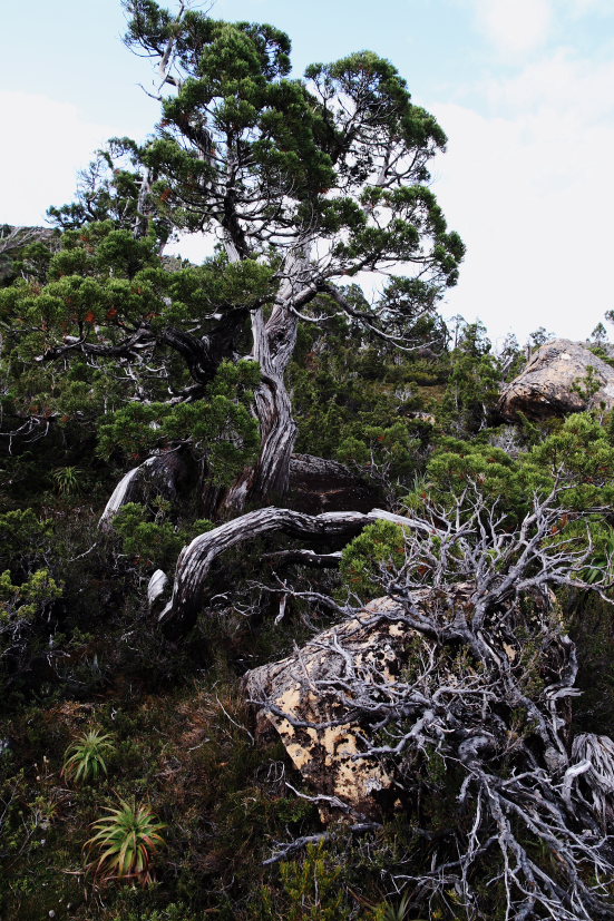 f0137354_2059864.jpg