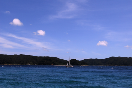 b0062363_8153456.jpg