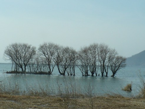 a0063364_16232216.jpg