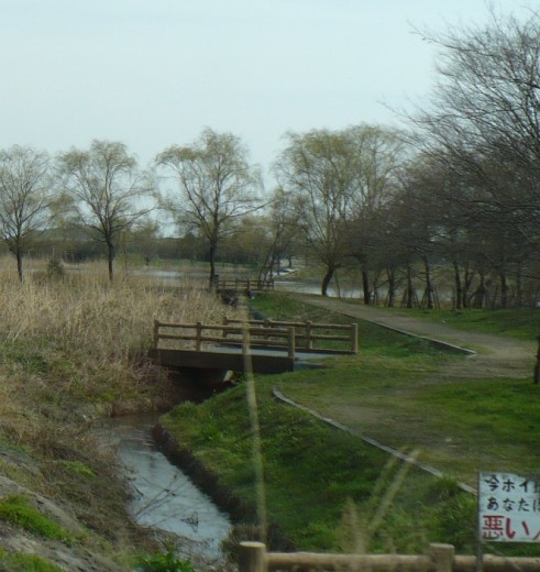 a0063364_1644140.jpg