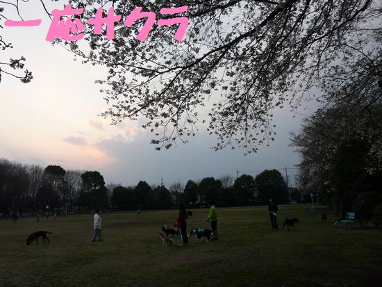 a0100564_747869.jpg