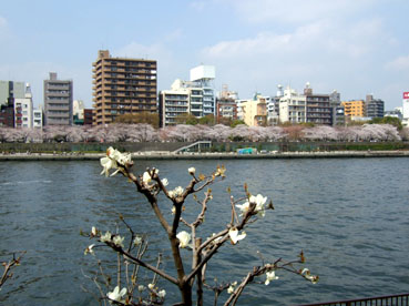 d0080566_1922528.jpg