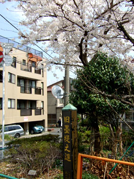 d0080566_19323562.jpg